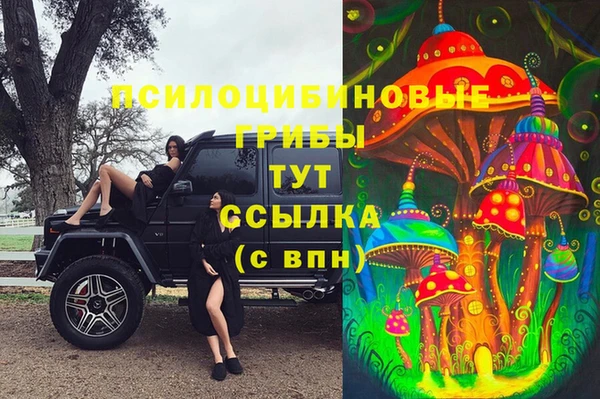 соль ск Кукмор
